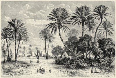 Oasis of Gafsa: Tunis by Charles Barbant
